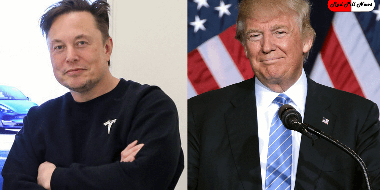 Breaking: Musk joins Twitter Board and Conservatives everywhere Ask Him to Reinstate Trump’s Twitter Account