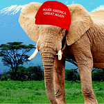 The Elephant in the Room is Getting MASSIVE. Conservative Media Becoming a Powerhouse and is set to Destroy Liberal Corporate Media Over the Coming Decade.